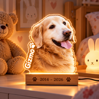 MemoraPet Lamp met een hond: acryl lampje met de foto van een golden retriever, de naam Gizmo en jaartallen op de houten voet, in de kinderkamer