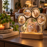 MemoraPaw pootjeslamp met vijf foto's van een rode kat, op een houten dressoir in de woonkamer