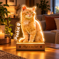 MemoraPet Lamp met een kat: acryl nachtlampje met de foto van een rode kat, de naam Poekie en eigen tekst op de houten led-voet, in de woonkamer