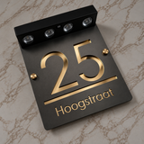 Antraciet / goud