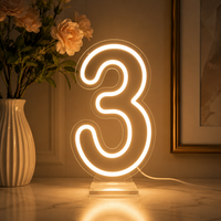 LumiNumber LED Neon Cijfer – Verlicht Nummerbord