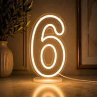LumiNumber LED Neon Cijfer – Verlicht Nummerbord