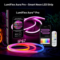 LumiFlex Aura Pro RGBIC neon LED-strip met regenboogkleuren — IP67 sfeerverlichting voor binnen en buiten