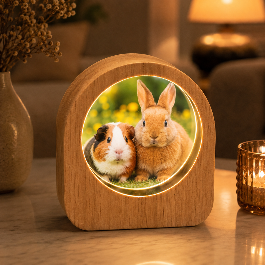 MemoraSphere – Jouw Foto in Kristal | Gepersonaliseerde 3D Kristallen Fotolamp