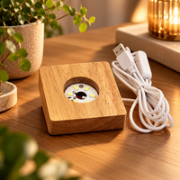LumiBase houten lichtvoet van bovenaf, met de ledjes in de opening en het USB-snoer van 1 meter
