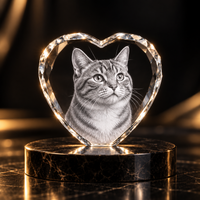 Kristallen gedenkhart met de foto van een kat in 3D gegraveerd, sfeervol verlicht