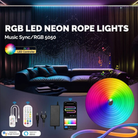 WiFi Smart LED Neon Lichtstrip - RGBIC - 5 meter - 24V