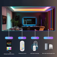 WiFi Smart LED Neon Lichtstrip - RGBIC - 5 meter - 24V