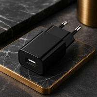 Zwarte 5V USB-adapter met EU-stekker op luxe gouden tray — mat-zwart compact ontwerp